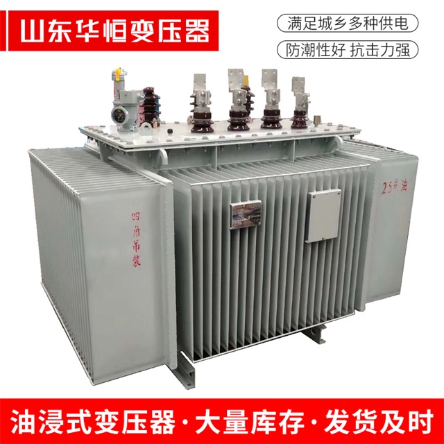 S13-10000/35浠水浠水浠水电力变压器厂家
