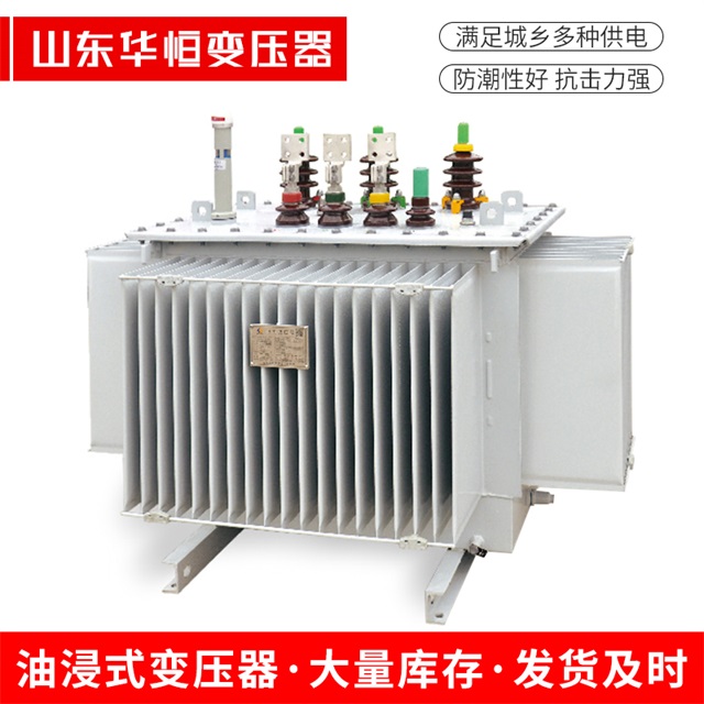 S13-10000/35浠水浠水浠水电力变压器